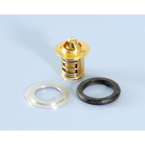 Thermostat POLINI Thor 