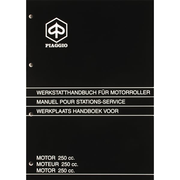 Werkstatthandbuch PIAGGIO Motor 250ccm GT (Honda CN 250 Motor) 